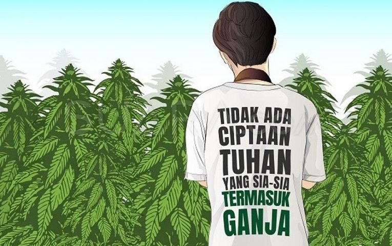 legalisasi ganja